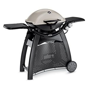 Weber Q 3200 