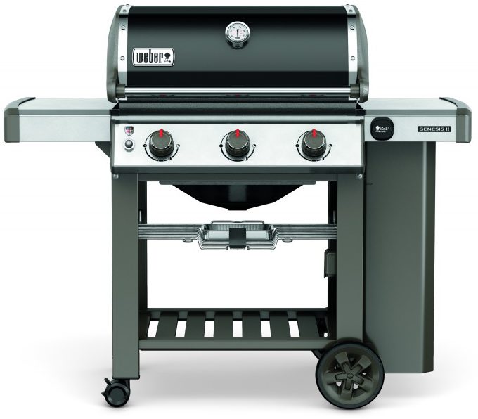 girl weber E 310